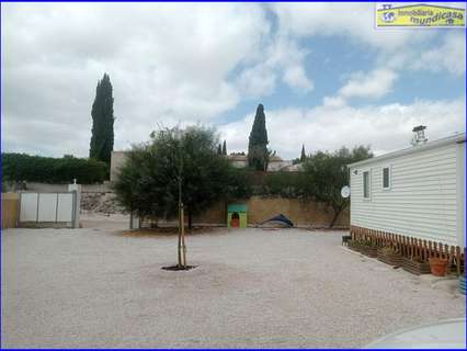 Parcela rústica en venta en Fortuna