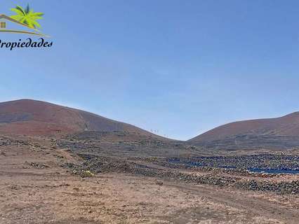 Parcela en venta en Tinajo