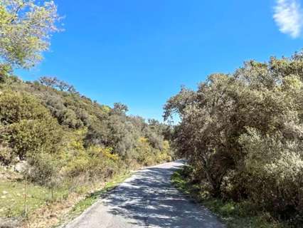 Parcela rústica en venta en Los Barrios