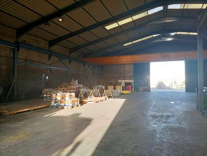 Nave industrial en venta en Puerto Real rebajada