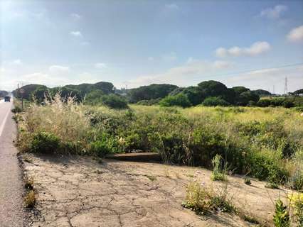 Parcela rústica en venta en Puerto Real