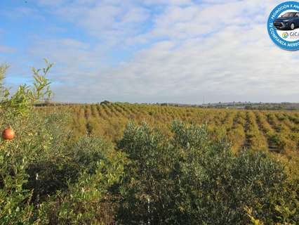 Parcela rústica en venta en Jerez de la Frontera