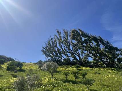 Parcela en venta en Telde zona Montaña Las Palmas