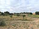 Parcela rústica en venta en Elche/Elx