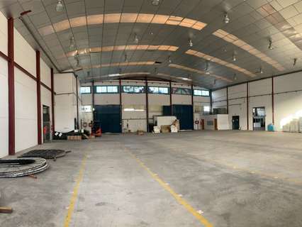 Nave industrial en alquiler en Elche/Elx