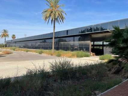 Nave industrial en venta en Elche/Elx