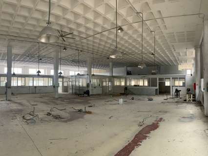 Nave industrial en venta en Elche/Elx