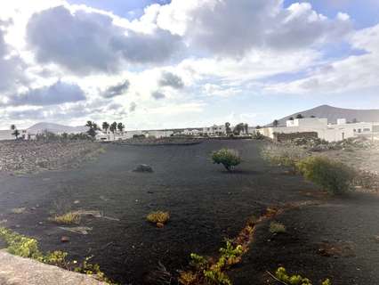 Parcela en venta en Tinajo zona Tajaste