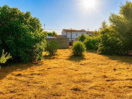 Parcela rústica en venta en Chiclana de la Frontera
