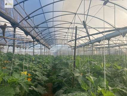 Parcela rústica en venta en Sanlúcar de Barrameda