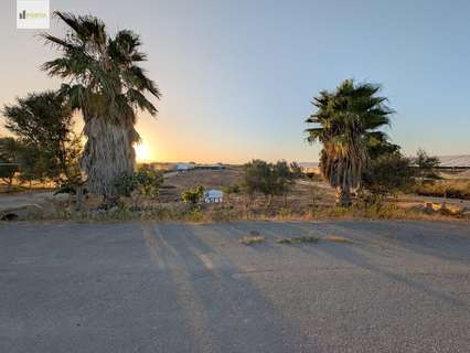 Parcela rústica en venta en Sanlúcar de Barrameda