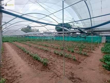 Parcela rústica en venta en Sanlúcar de Barrameda