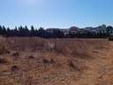 Parcela rústica en venta en Sanlúcar de Barrameda