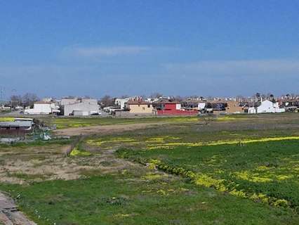 Parcela rústica en venta en Sanlúcar de Barrameda rebajada