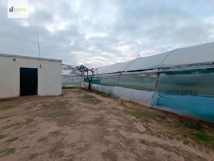 Parcela rústica en venta en Sanlúcar de Barrameda