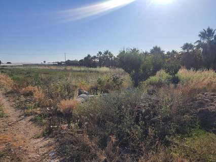 Parcela rústica en venta en Sanlúcar de Barrameda