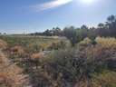 Parcela rústica en venta en Sanlúcar de Barrameda