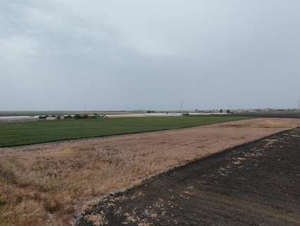 Parcela rústica en venta en Sanlúcar de Barrameda
