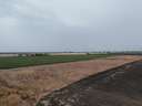 Parcela rústica en venta en Sanlúcar de Barrameda