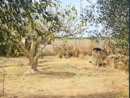 Parcela rústica en venta en Puerto Real