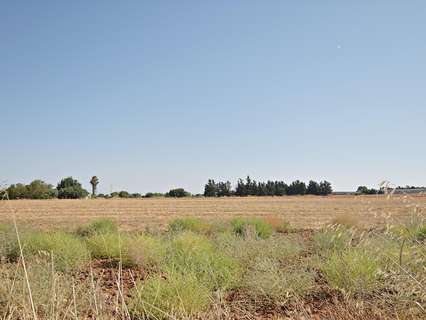 Parcela rústica en venta en Jerez de la Frontera