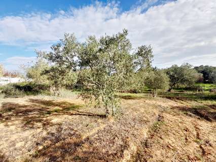 Parcela rústica en venta en Jerez de la Frontera