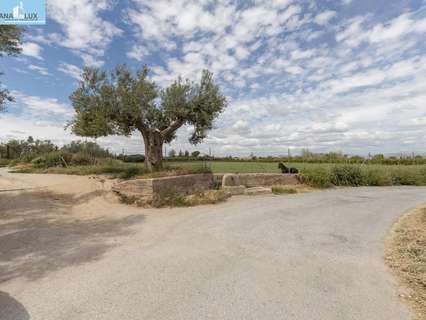 Parcela rústica en venta en La Zubia