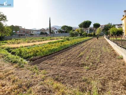 Parcela urbana en venta en La Zubia rebajada
