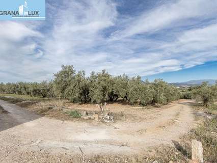 Parcela rústica en venta en Albolote