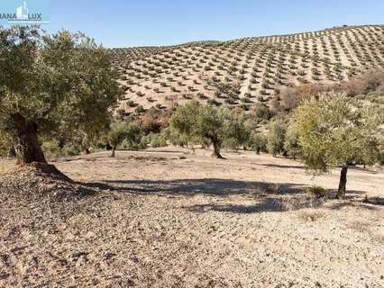 Parcela rústica en venta en Campotéjar
