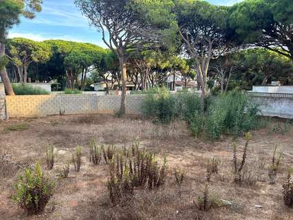 Parcela rústica en venta en Chiclana de la Frontera