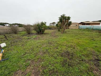 Parcela rústica en venta en Chiclana de la Frontera