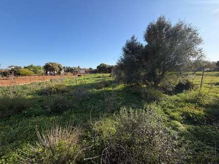 Parcela rústica en venta en Chiclana de la Frontera