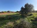 Parcela rústica en venta en Chiclana de la Frontera