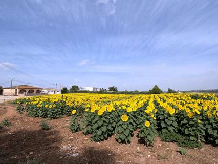 Casa rústica en venta en Jerez de la Frontera