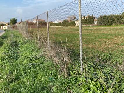 Parcela rústica en venta en Arcos de la Frontera rebajada