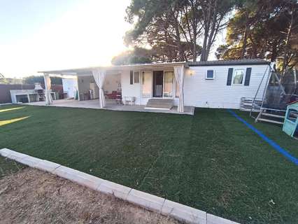 Parcela rústica en venta en Jerez de la Frontera rebajada