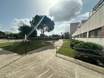 Piso en venta en Jerez de la Frontera