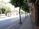 Local comercial en alquiler en Murcia