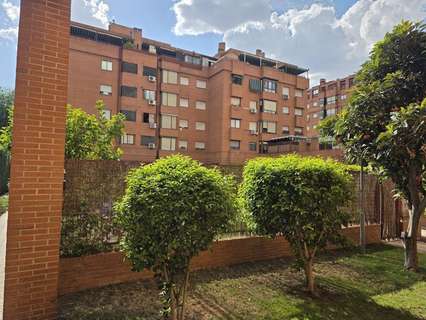 Piso en alquiler en Torrejón de Ardoz