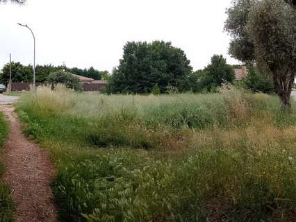 Parcela rústica en venta en Nuevo Baztán