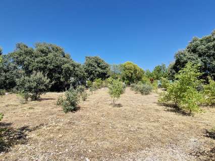 Parcela rústica en venta en Villar del Olmo