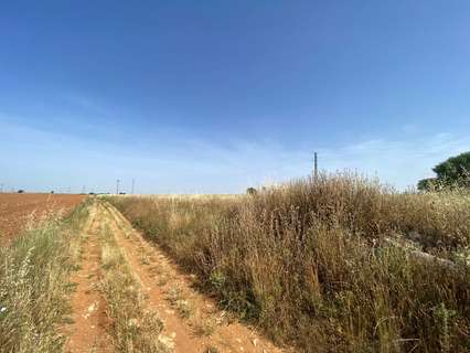 Parcela rústica en venta en Nuevo Baztán