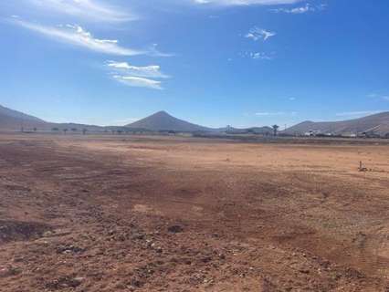 Parcela rústica en venta en La Oliva