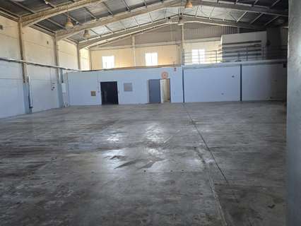 Nave industrial en alquiler en Molina de Segura