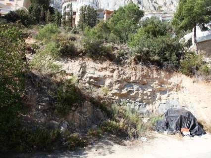 Parcela rústica en venta en Calpe