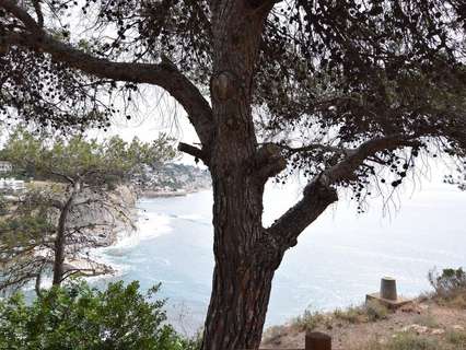 Parcela rústica en venta en Benissa