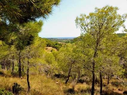 Parcela rústica en venta en Altea