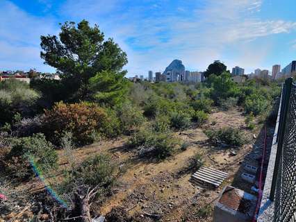 Parcela rústica en venta en Calpe