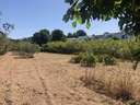 Parcela rústica en venta en Calpe